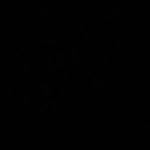 Meet your Posher, Laray